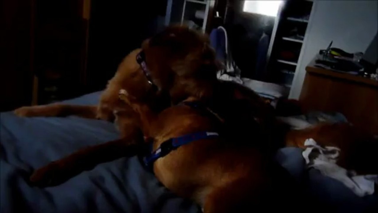 Skole playing with Diego