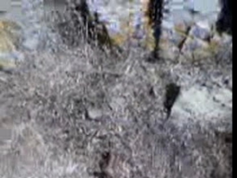 Cacca di Mike