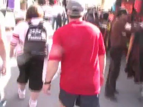 Grenouilles migration