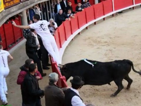 Histoire de Bouvine - Sabri Allouani