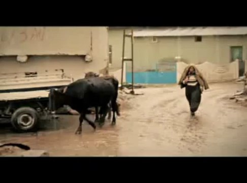 AK Parti İcraat- Sosyal Destek