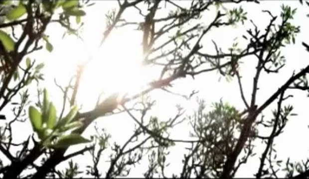 Ak Parti TOKİ Konut Reklamı