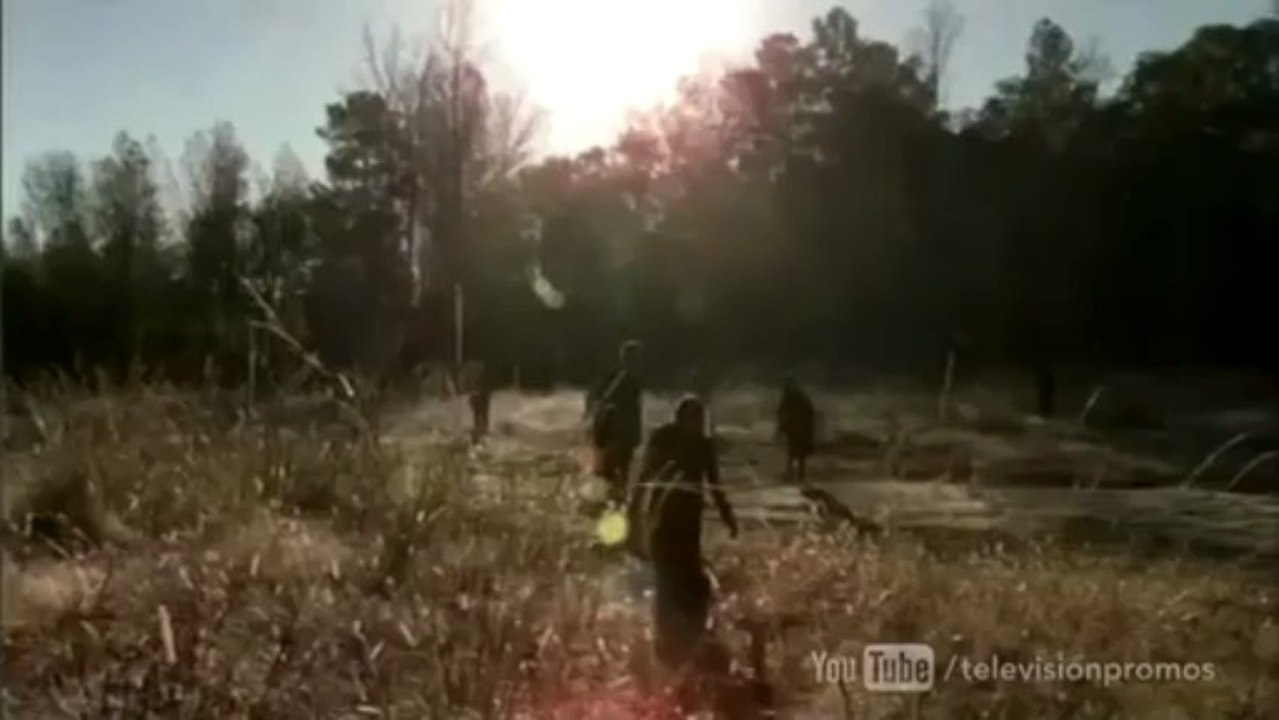 The Walking Dead 316