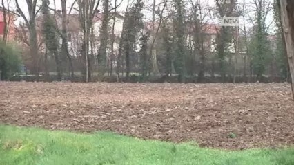 MALTEMPO, DANNI ALL'AGRICOLTURA