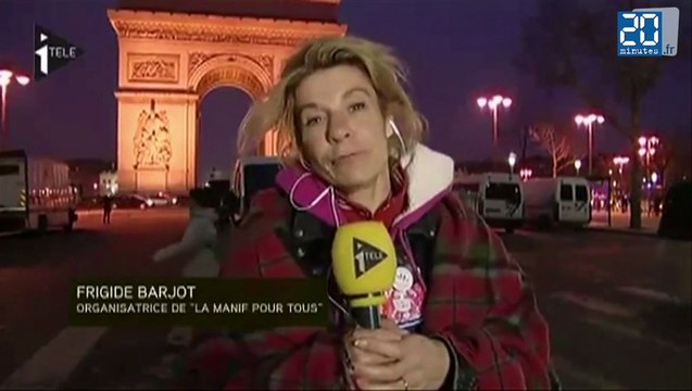 Zapping: débordements à la Manif pour tous du 24-03-2013