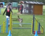 [Agility] 10.06.20 Concours Vitry