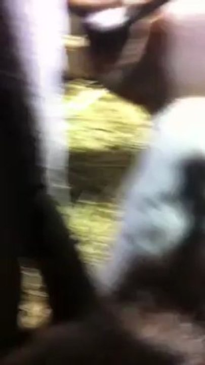 Naissance 4i_5mars13