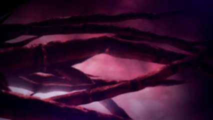 Cinématique HotS 8/11