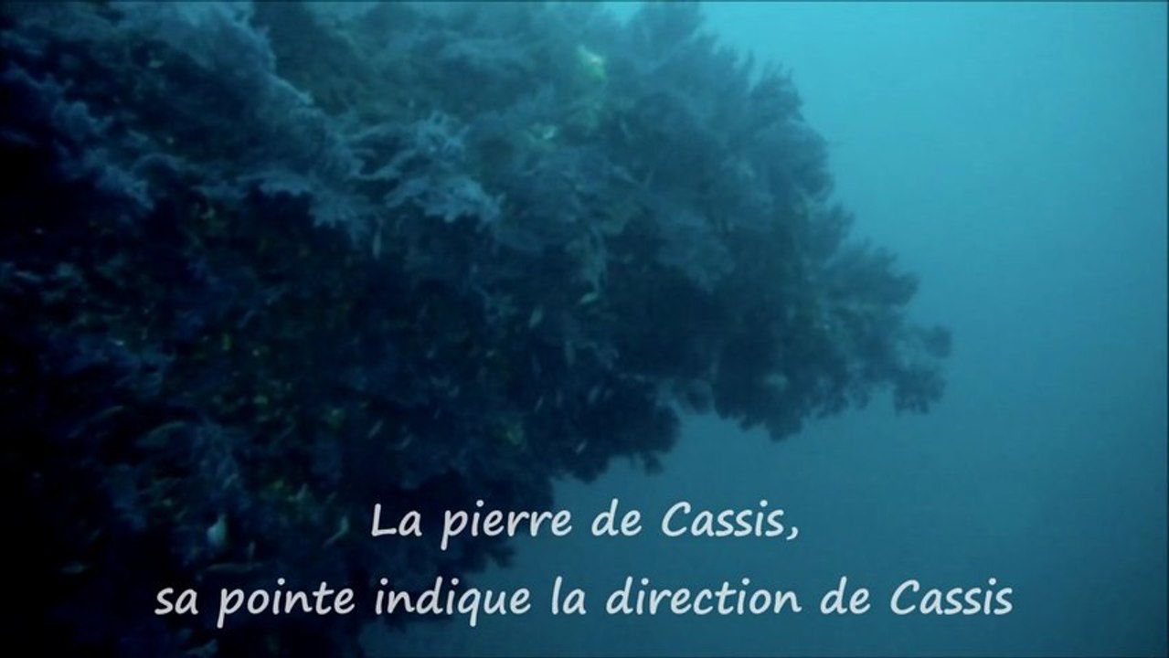 Plongée : La pierre à cassis  - Plongée Marseille