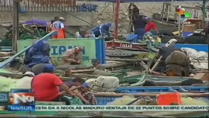 Anchoveta peruana en peligro de extinción, denuncia gobierno