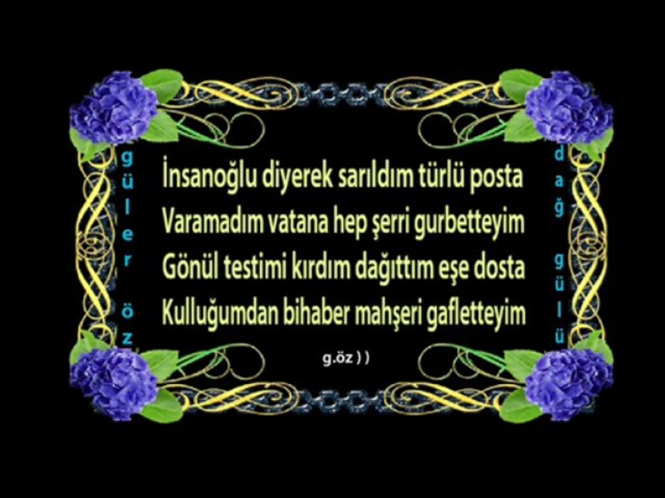 Mahşeri Gafletteyim güler öz dağ gülü