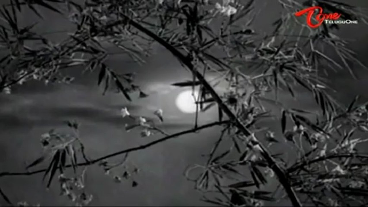 Chaduvukunna Ammayilu Songs - Vinipinchani Raagale - ANR - Savitri - Krishna Kumari