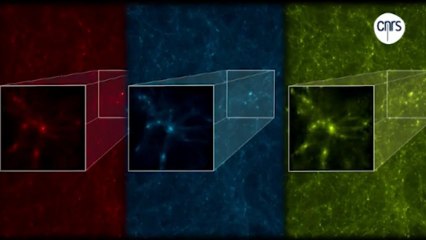 Formation de l'univers : le grand calcul