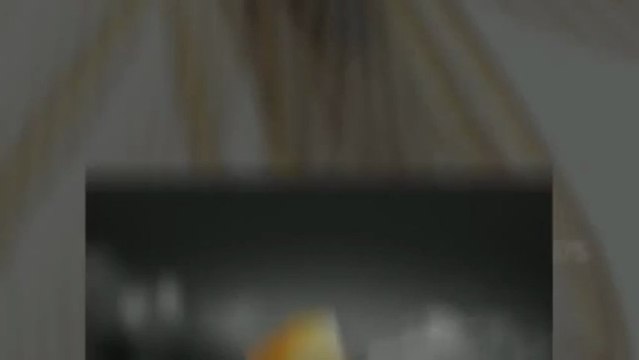 BugBusters Termite Exterminators (937) 256-6475