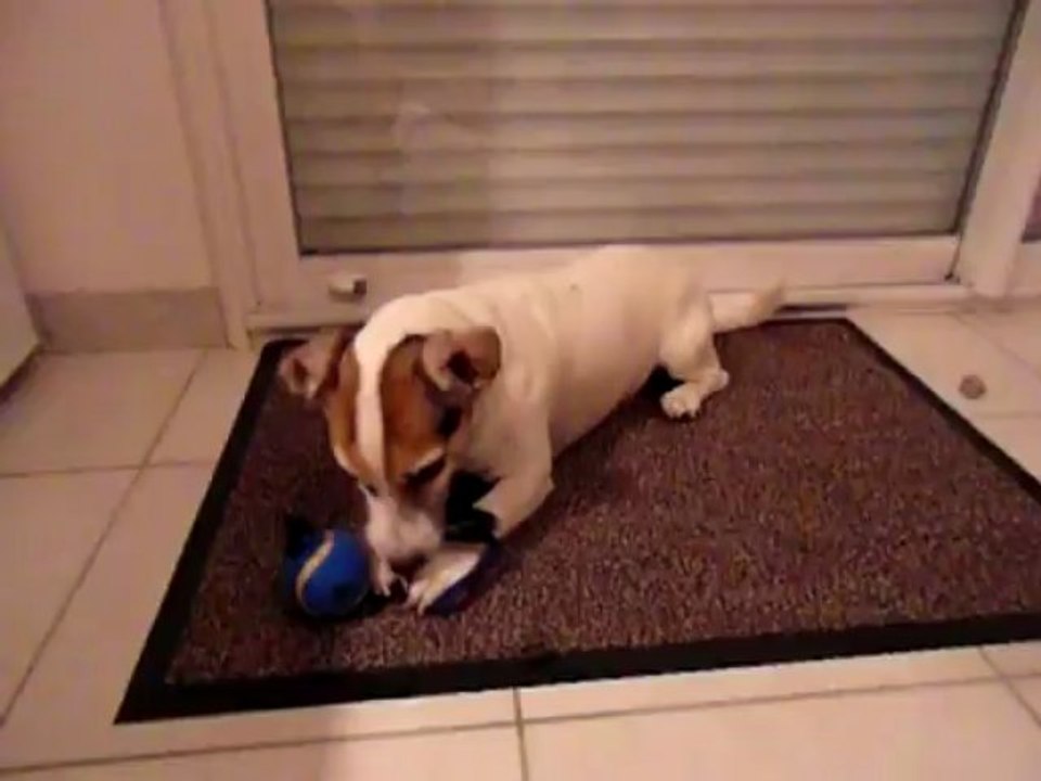 Mars2013 Urban Flipo 026