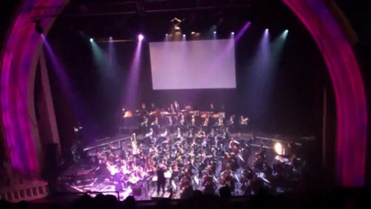 YOU CALL IT LOVE (BO L'ETUDIANTE) par NOLWENN LEROY et VLADIMIR COSMA@GRAND REX PARIS 24-03-2013