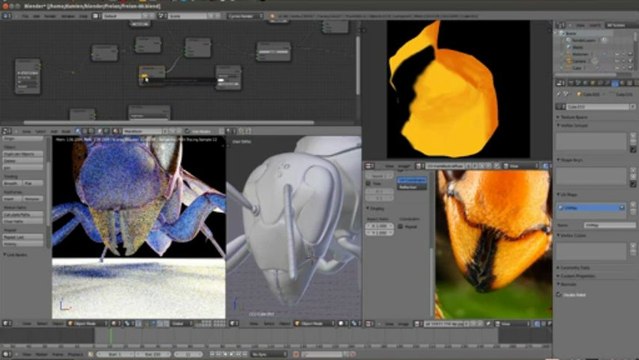 Timelapse blender cycles 2.66 Hornet - Frelon Vespa Velutina