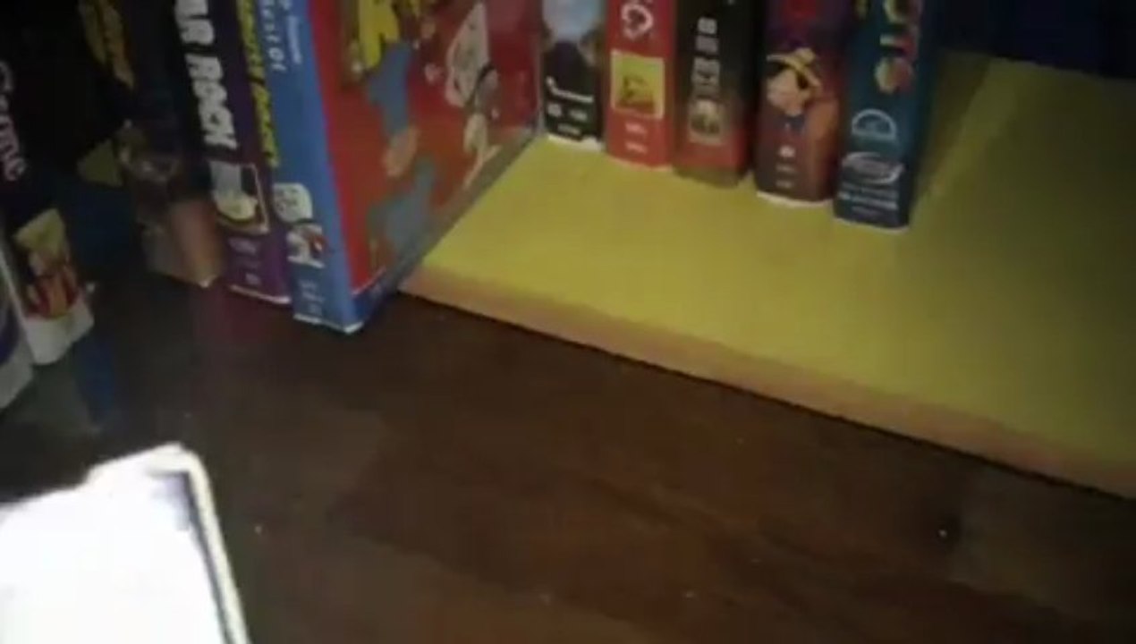My Entire VHS Collection (Part 10)