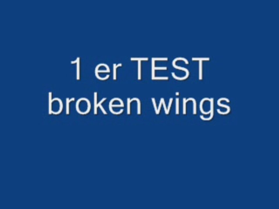 broken wings test 1