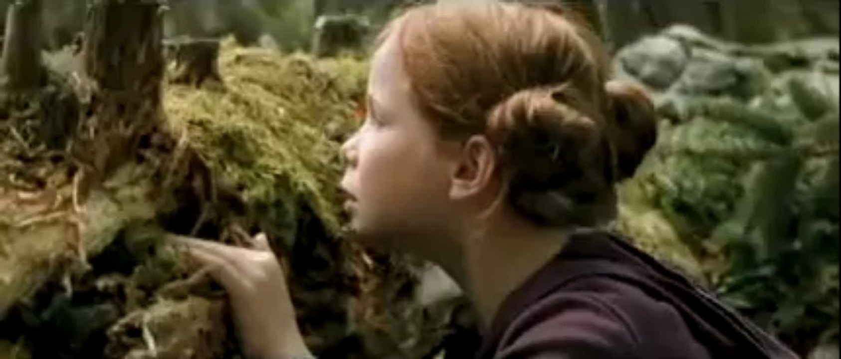 film Le renard et l enfant bande annonce VF