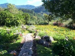 Worldly Dreams by The Electric Trunk