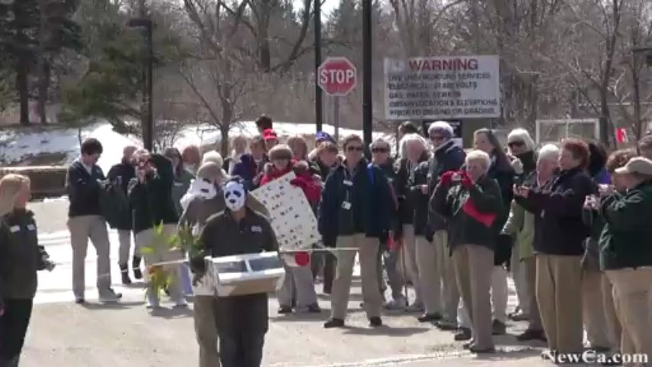 NewCa.com: 2013 Toronto Zoo: Pandas Arrive at the Toronto Zoo