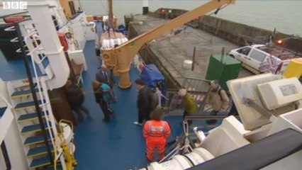 BBC Spotlight - 25/3/13