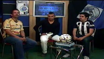 Gallos TV 309