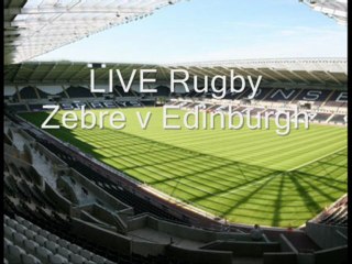 Zebre vs Edinburgh 29 March 2013