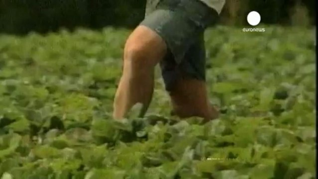 David Cameron annonce des restrictions aux droits...