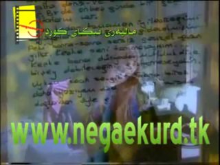 haziran gecesi Elqae 7