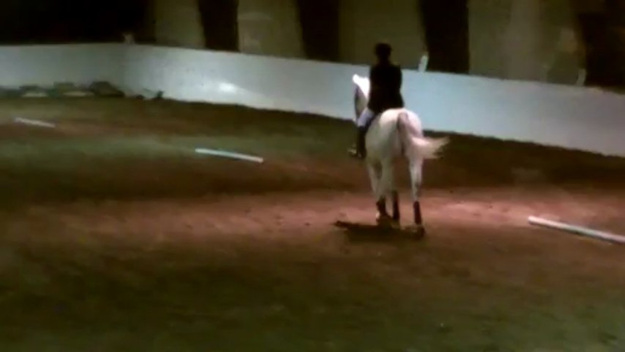 Reprise de dressage en musique avec Vendetta