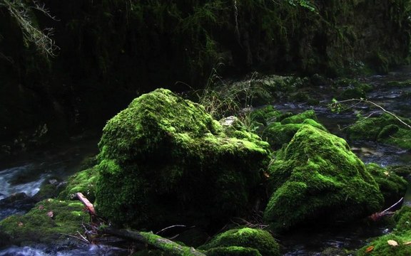 Voyelles continues : 3 syllabes