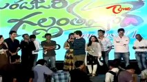 Gunde Jaari Gallanthayyinde Movie Audio Function Highlights - 02