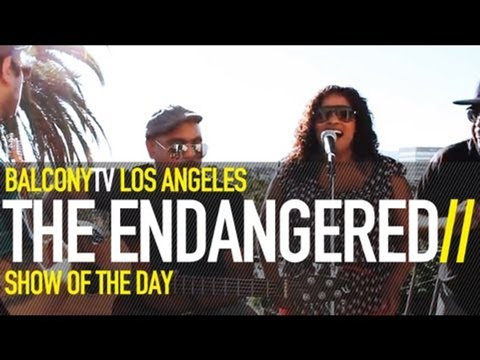 THE ENDANGERED - DOLLARS (BalconyTV)