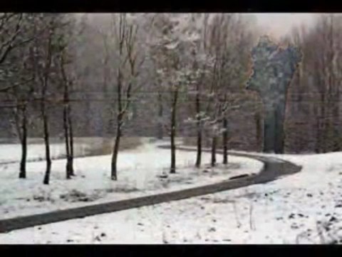 Thank God You Came Alone Jimmy Travis Band