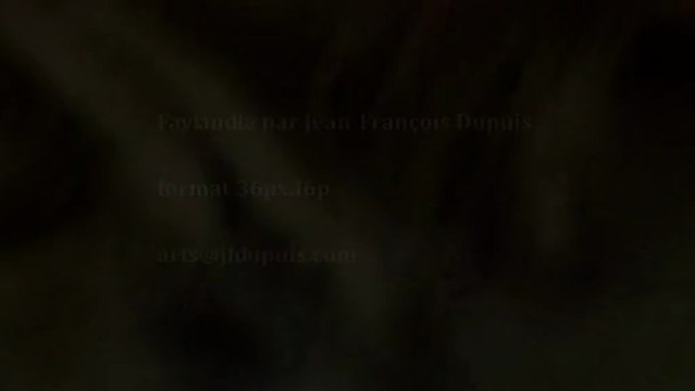 Oeuvre de Jean-François Dupuis artiste photographe illustrateur