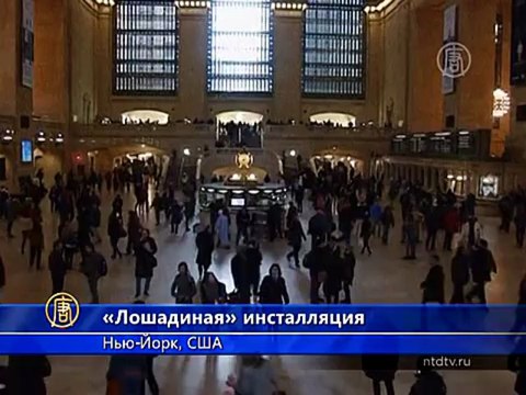 Пассажиров вокзала сравнили со стадом лошадей