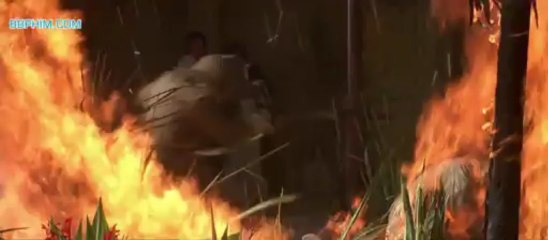 mummy1 (1)_clip4
