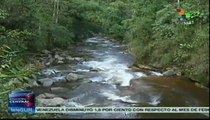 Primera zona de reserva campesina en Colombia