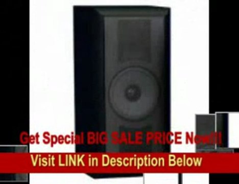 [FOR SALE] THIEL SCS4 in Black Ash High Performance Surround Bookshelf or Stand Loudspeaker (Front/Center, Single, Black ...