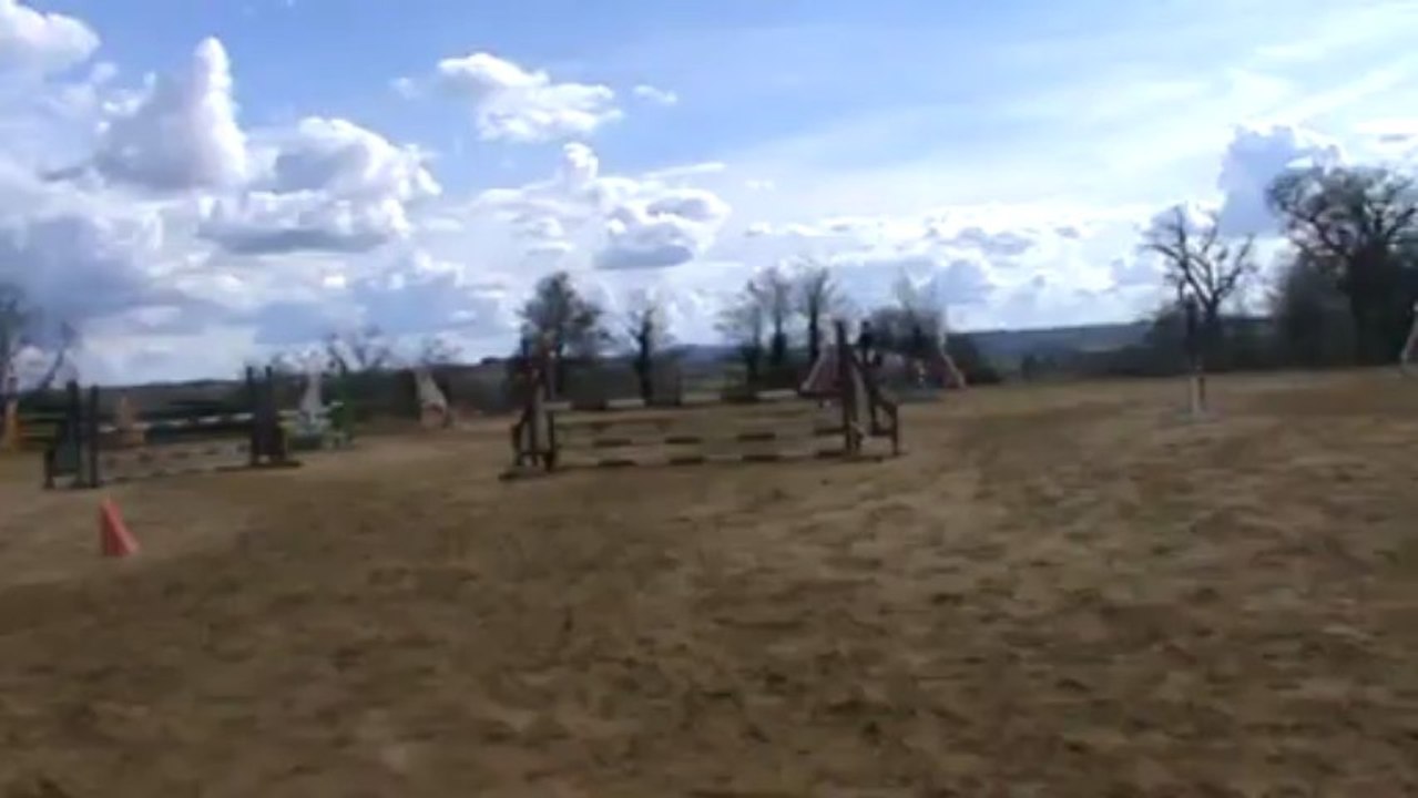 Sapajou du delta club 1 , 2eme sur 27 .... Une cheval formidable