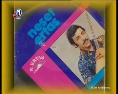 İsmail Altunsaray - Gökyüzünde Uçan Bölük Bölük Turnalar