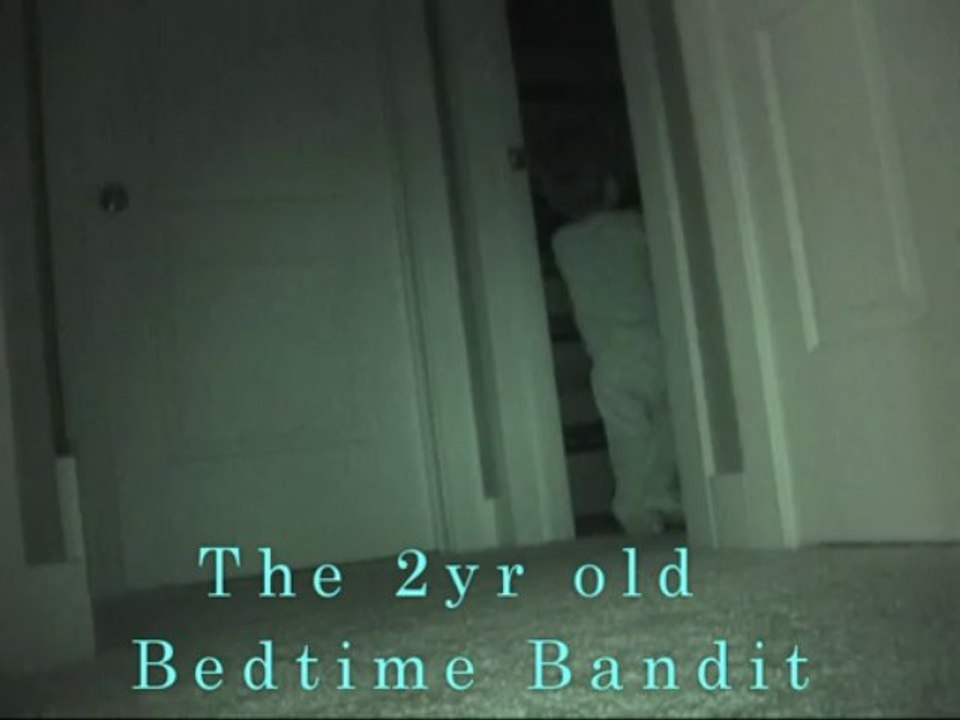 Voleur de peluche de 2 ans dans la nuit