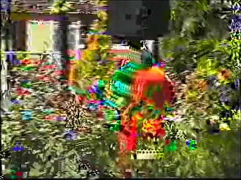 FATMA GÜLER:EY GÜL DALI (EDİRNELİ HALK MÜZİĞİ SANATÇISI)