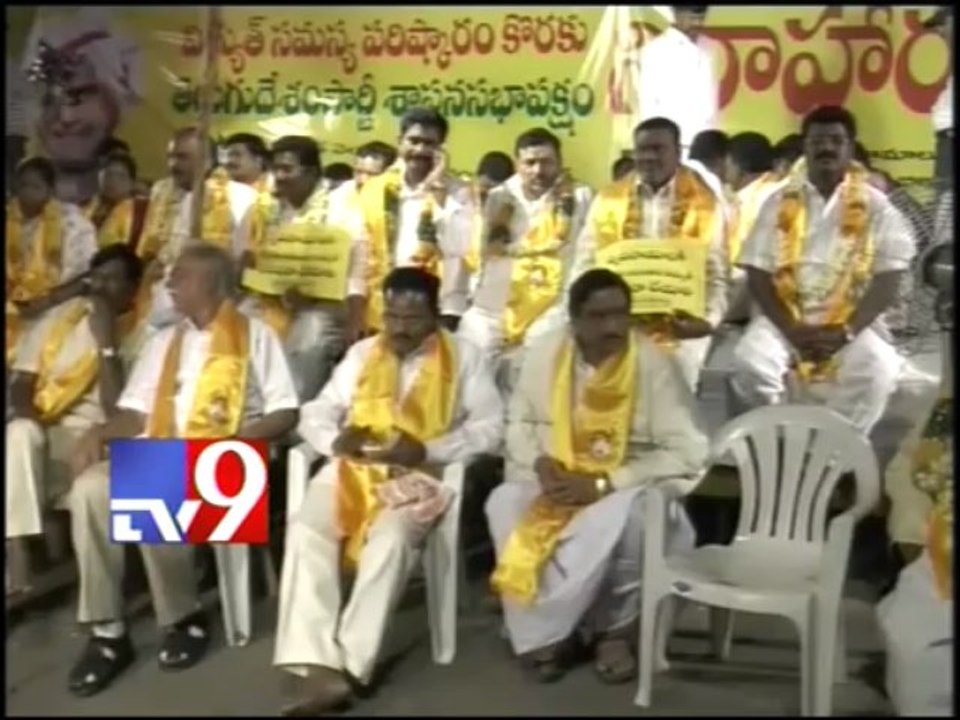 TDP anti-power crisis protest