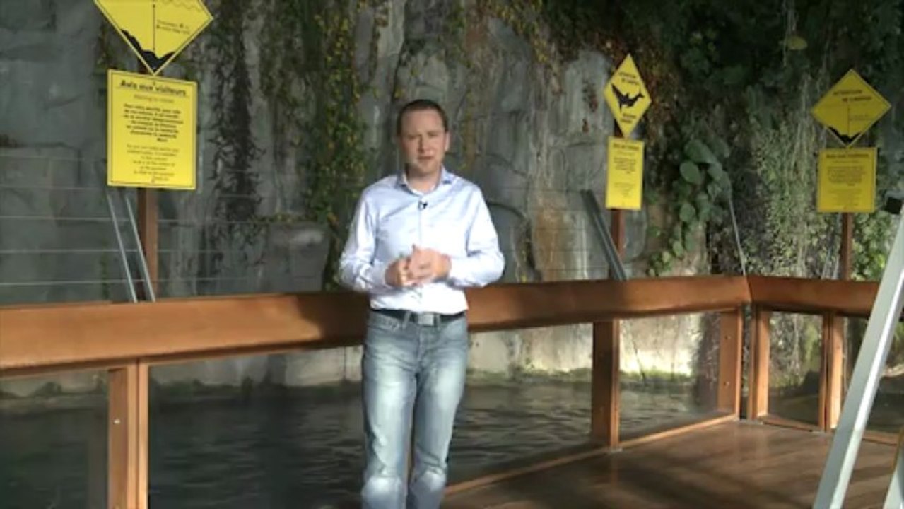 emission requin david lefort Nausicaa