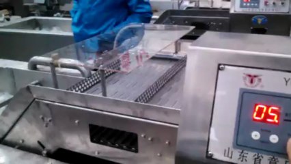 Máy rửa rau công nghiệp kiểu liên tục