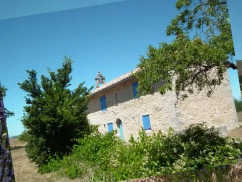 LA LAVANDE EN PROVENCE