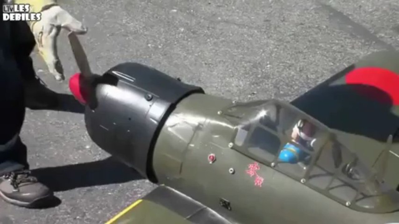 Crash insolite d'un avion télécommandé